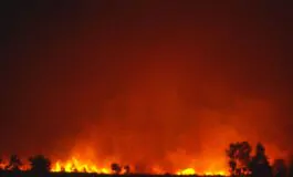 incendi in Algeria