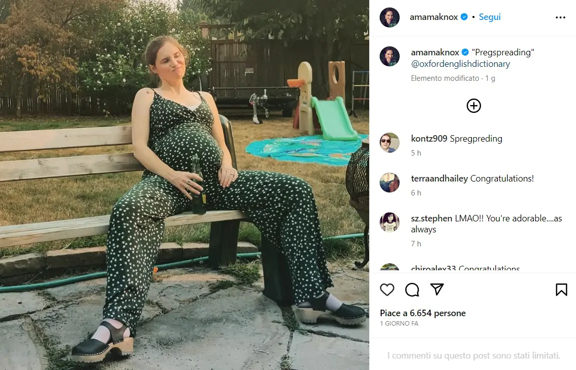 amanda knox
