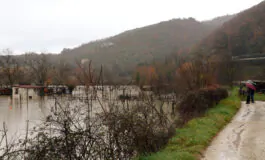 Tozzi sul cambiamento climatico