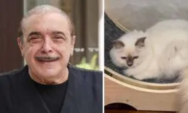Nino Frassica e il gatto scomparso, la furia dell'attore: "Smettetela con gli scherzi"