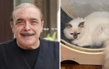 Nino Frassica e il gatto scomparso, la furia dell'attore: "Smettetela con gli scherzi"