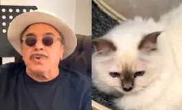 Nino Frassica smarrisce il gatto: "Offro 5mila euro a chi lo ritrova"