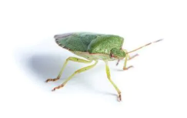 image c2998fde 470b 423e af79 e7a4bcac62d4