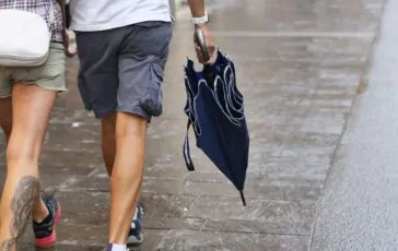 allerta meteo