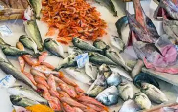 pesce spada allerta salute