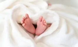neonata