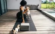 yoga con cane gatto