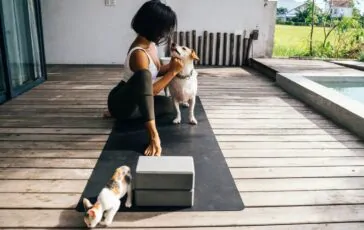 yoga con cane gatto 364x230