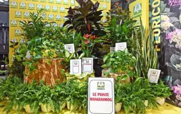 featured 1929027 364x230