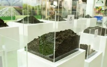 featured 1929680 364x230