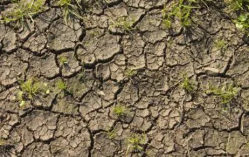 featured 1929734 364x230