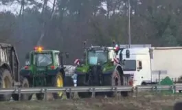 agricoltori proteste settore