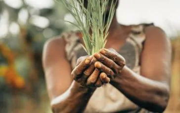 featured 1933550 364x230