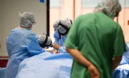 USA, primo trapianto di rene di maiale su paziente in vita