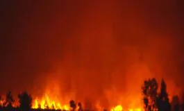 incendio Genova