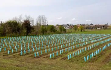 featured 1943974 364x230