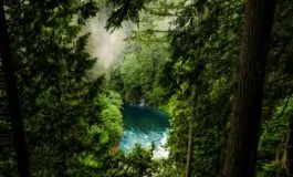 featured 1945553 265x160