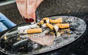 featured 1946533 364x230