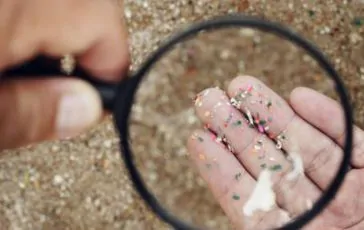 featured 1948517 364x230