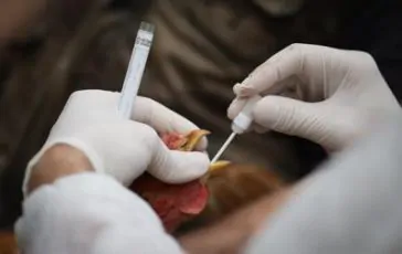 featured 1950517 364x230