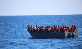 migranti