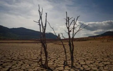 Zimbabwe, dichiarato lo stato di calamità