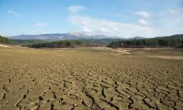 Clima, la Corte europea condanna la Svizzera