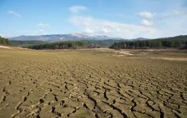 Clima, la Corte europea condanna la Svizzera