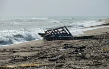 Australia, decine di balene morte spiaggiate: le cause