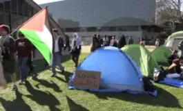 università proteste filo palestinesi