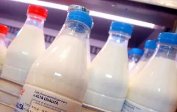 featured 1953763 364x230