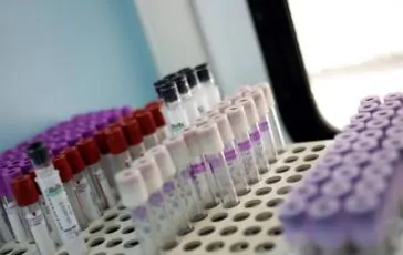 featured 1955139 364x230