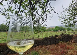 featured 1956046 320x230