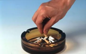 featured 1960871 364x230