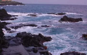 vermocane invasione sicilia puglia mare