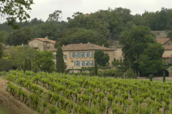 Pietro Pittaro, morto imprenditore del vino: lascia in eredità l'intera azienda ai dipendenti