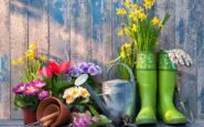 come creare un giardino fiorito