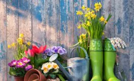 come creare un giardino fiorito