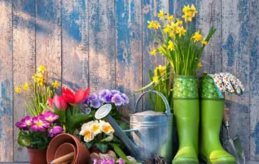 come creare un giardino fiorito