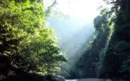 giornata mondiale della biodiversità come salvare il mondo