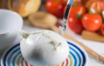 featured 1966598 364x230