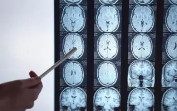 featured 1966671 364x230