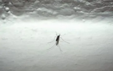 featured 1968550 364x230