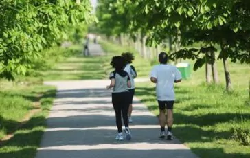 featured 1969551 364x230