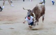 toro vicenza