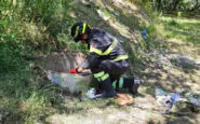 bambino caduto nel pozzo palazzolo acreide sindaco