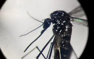 featured 1973803 364x230