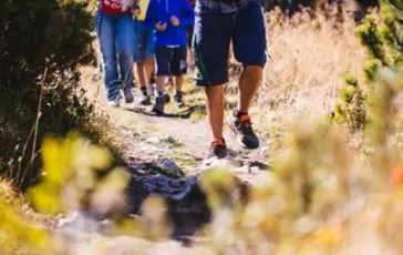 featured 1975876 364x230