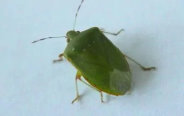 image d220322c 77b7 48de 89f9 a110a36e8308 364x230