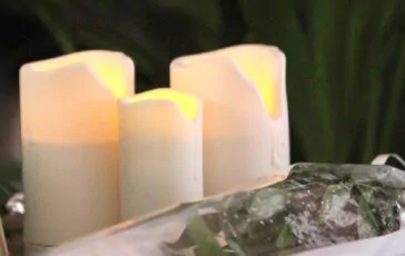 Sabato 24 agosto i funerali in forma privata di Alain Delon